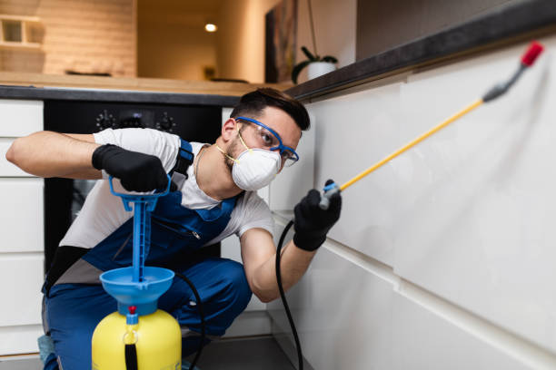 Best Wasp Removal Services  in Glenns Ferry, ID