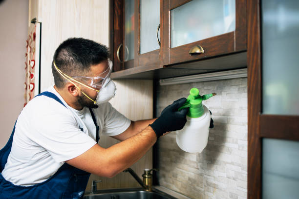 Best Flea Control Services  in Glenns Ferry, ID