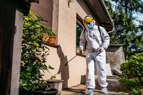 Best Pest Prevention Services  in Glenns Ferry, ID