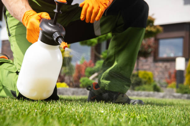 Wildlife Control Services in Glenns Ferry, ID