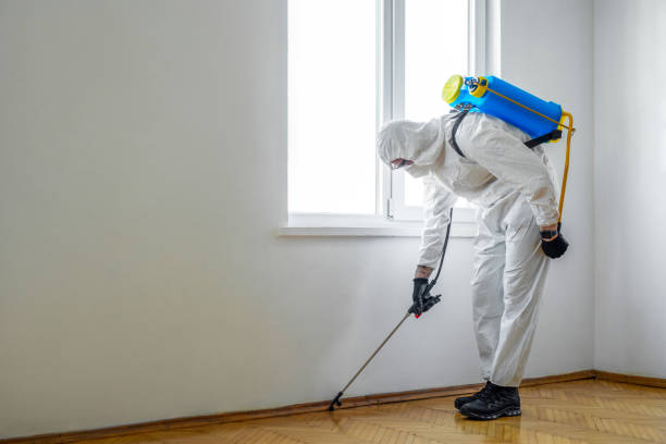 Best Pest Removal Services  in Glenns Ferry, ID