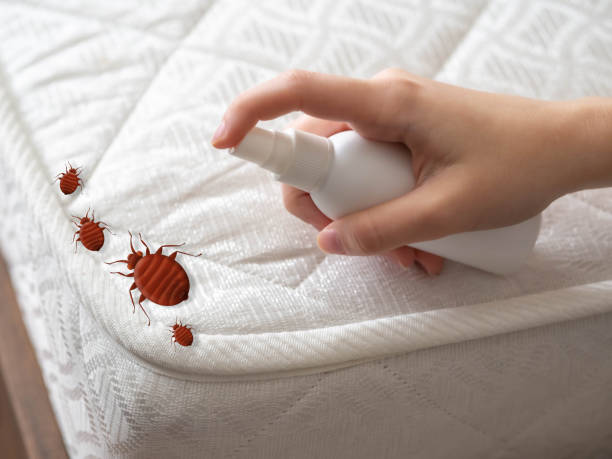 Best Commercial Pest Control Services  in Glenns Ferry, ID